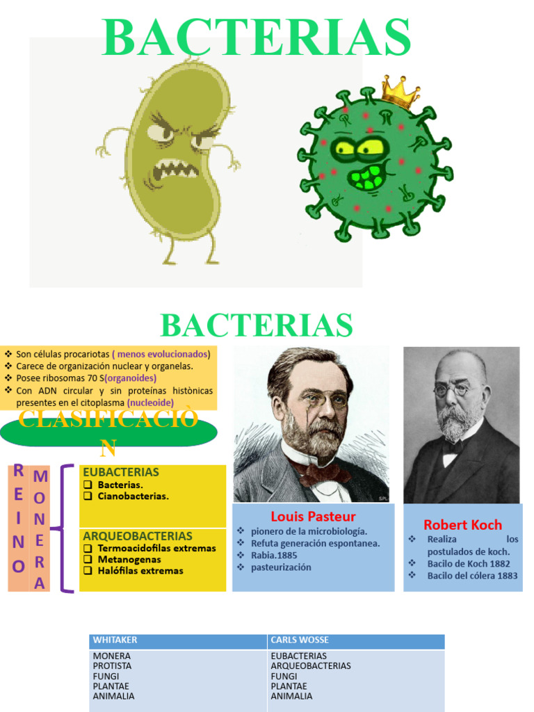 BACTERIAS | PDF