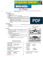 Clas 16 - Plaquetas