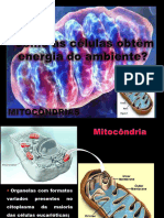 Aula Mitocondrias 2017