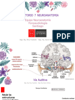 7 Laboratorio Na Fono PDF