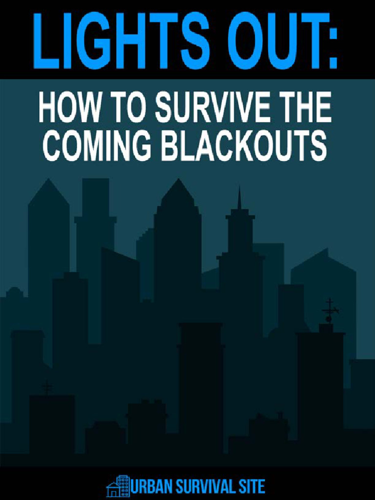 Lights Out How to Survive the Coming Blackouts PDF