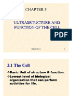 Chapter 3 - Cells