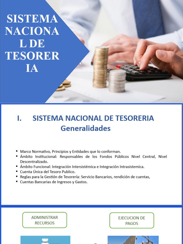 Sistema Nacional de Tesorería: Principios y Normas | PDF