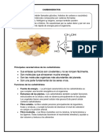 CARBOHIDRATOS