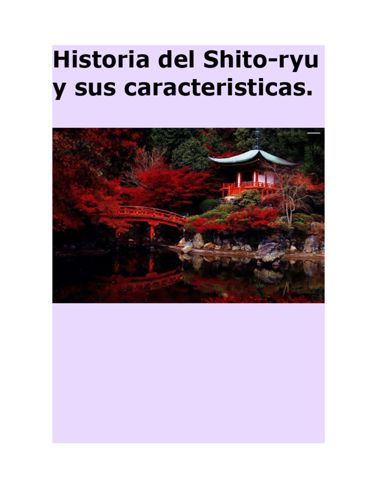Historia y características del Shito-ryu | PDF