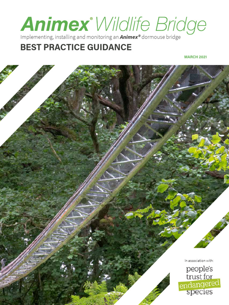 Animex Wildlife Bridge Best Practice Guidelines 2021 | PDF
