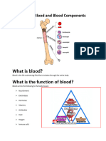 Overview of Blood and Blood Components