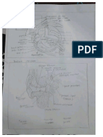 KKPMT Mandiri Reti Ferdinandus