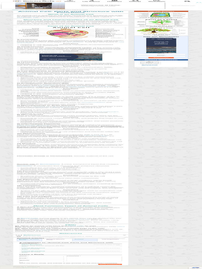 Animal Cell Structure Parts Functions Types With Diagram Pdf
