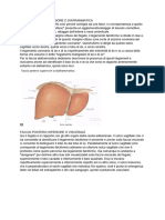 Anatomia II Lezione 20-05-2022