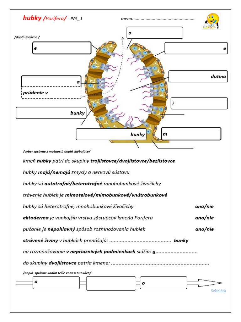 Hubky PPL | PDF