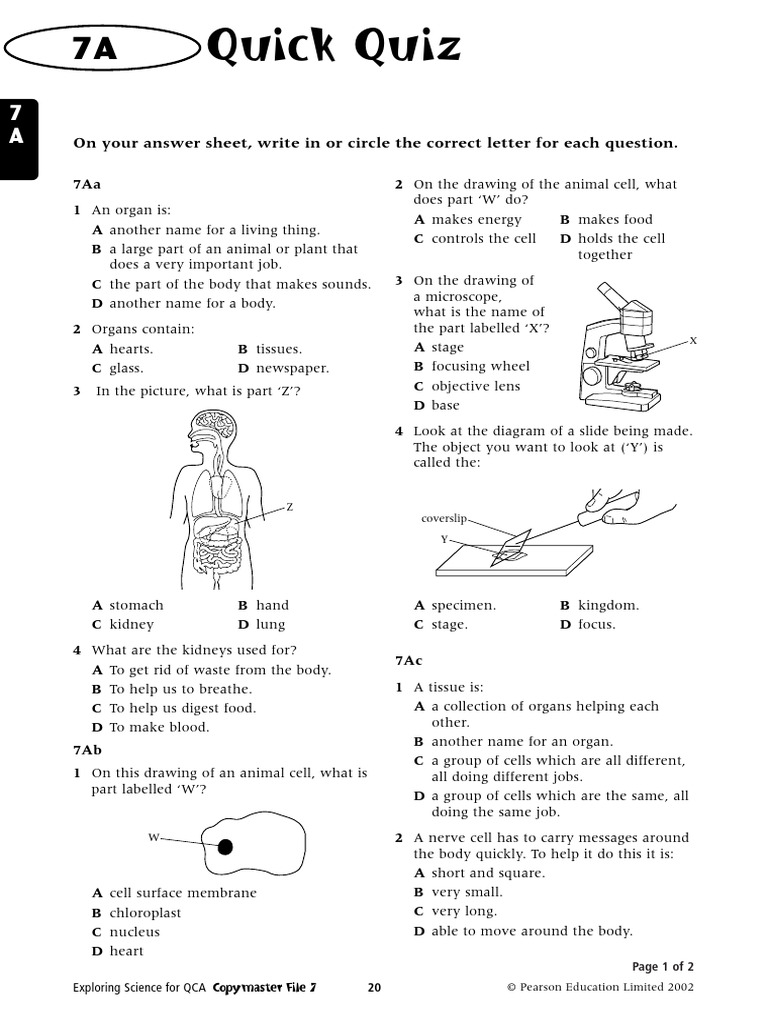 Quick Quiz on Human Organs and Cells | PDF