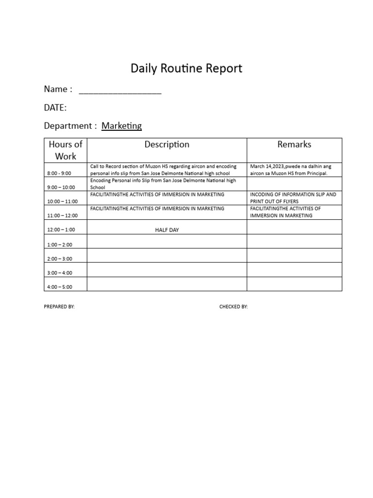 SAMPLE DAILYROUTINEREPORT PDF