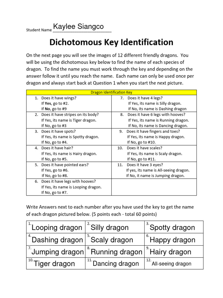 Dragon Identification Key Worksheet | PDF