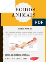 Tecidos Animais