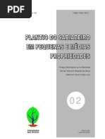 02 Plantio do Sabiazeiro