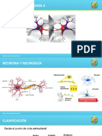 Tejido Nervioso y SNS - 2