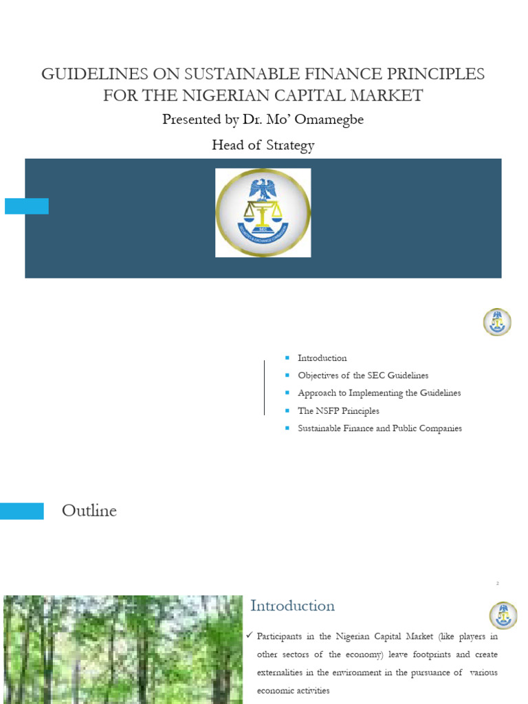 SEC20Guidelines20on20Sustainable20Finance Compressed | PDF