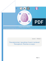 Apunte 2 - Neuroplasticidad. Aprendizaje. Neurogene