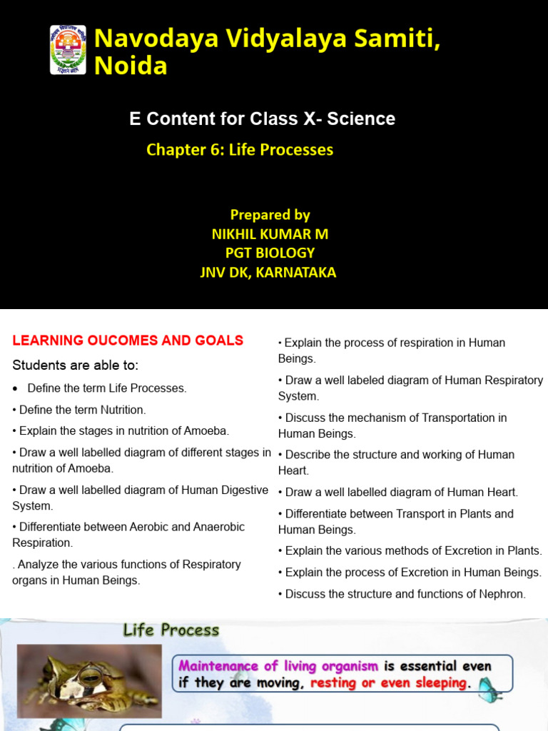 6 Life Process 1 Pdf