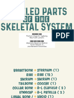 Labeled Parts of The Skeletal System