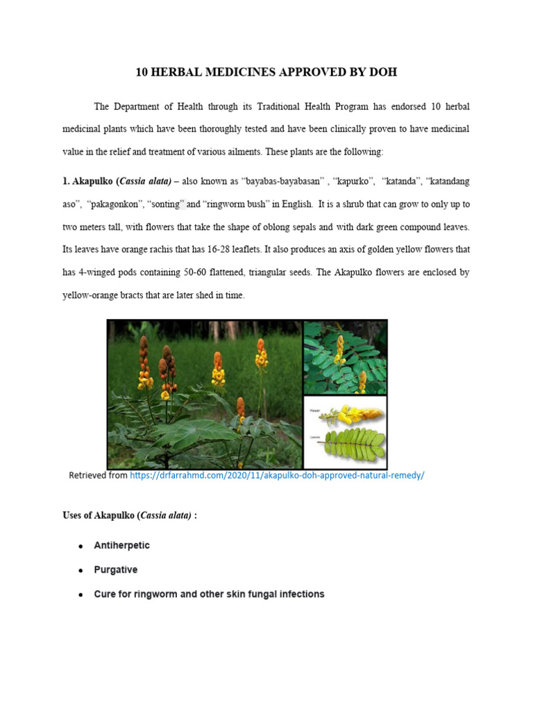 10 Herbal Medicines Approved by Doh PDF