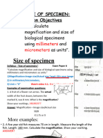 Y10 4. Size of Specimen