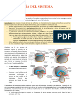 Embriologia Del Sistema Digestivo