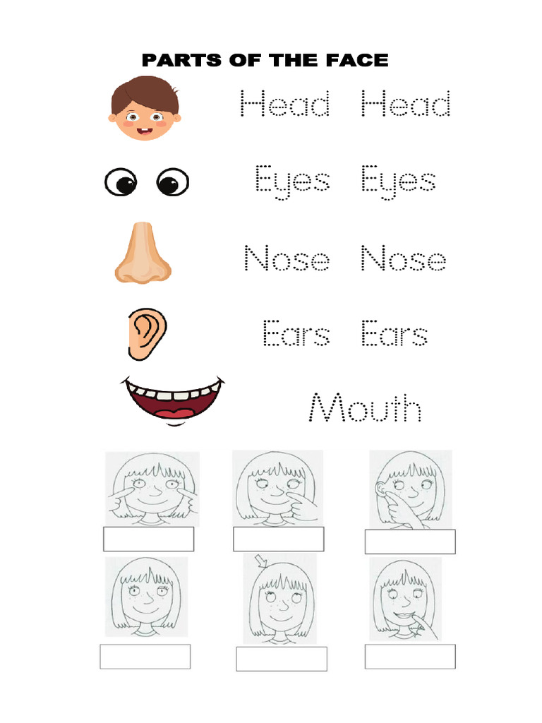 8.my Face | PDF