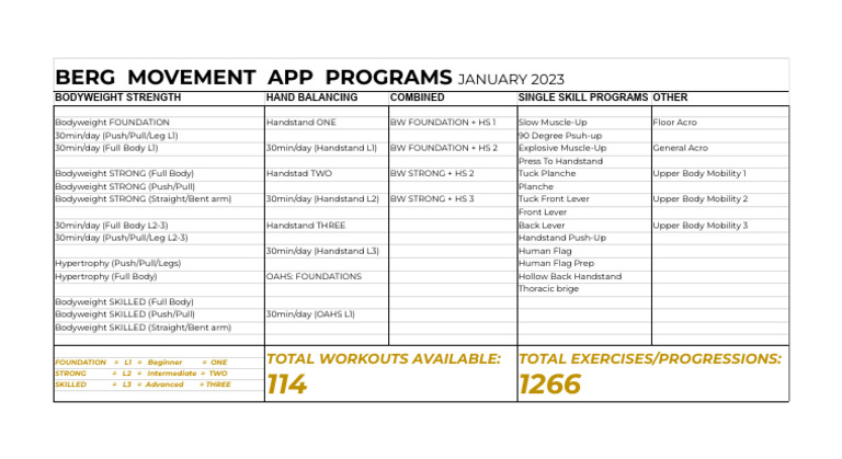 Berg Movement Programs PDF