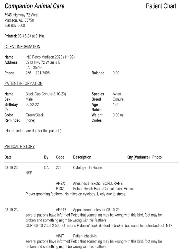 Little Buddy Petco Vet Visit Report PDF