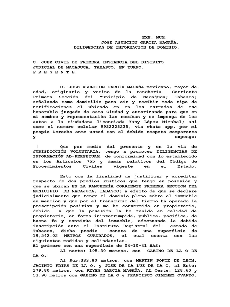 Demanda Informacion de Dominio | PDF | Propiedad | Ley de Propiedad