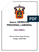 Ficha 1 Laboral