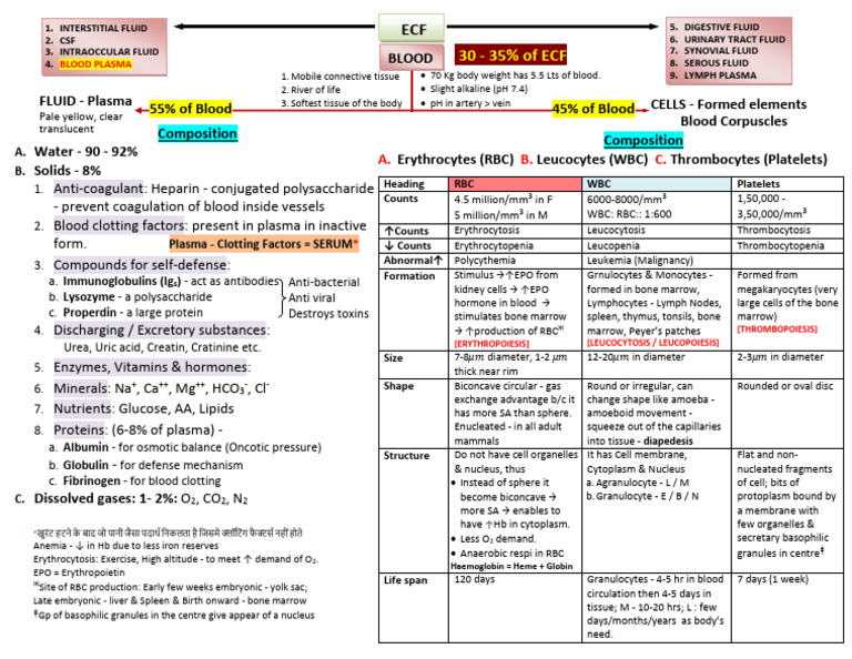 Blood | PDF | Blood | Red Blood Cell