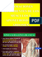 5 - Formaciones de La Pared Abdominal