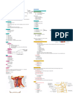 Rangkuman Anatomi Fascia Colli 