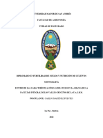 Estudio de Las Características Físicas Del Suelo en La Granja de La Facultad Integral de Los Valles Cruceños de La U.A.G.R.M.