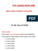 Amino Asitler - Peptidler Ve Proteinler (H)