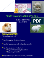 Deney Hayvanlari Histolojisi