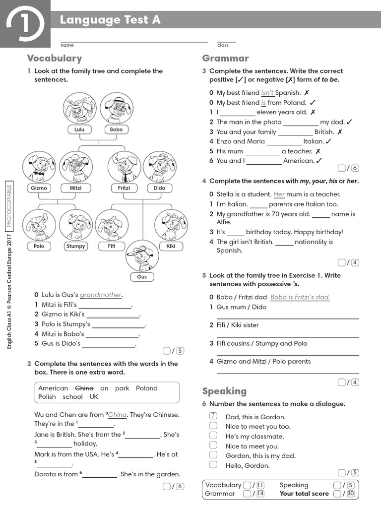 A1 Unit 1 Language Test | PDF