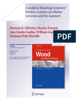 2018 - Exploring An Oxidative Bleaching Treatment For Chilean Bamboo