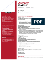 Anthony PAPIN CV S