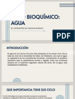 Ciclo Bioquímico - Agua