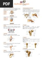 Lista Dos 206 Ossos Do Corpo Humano | PDF | Coluna vertebral | Vértebra