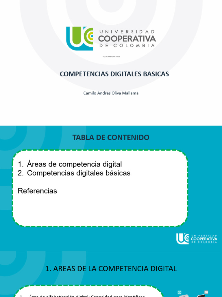 Competencias Digitales Basicas | PDF