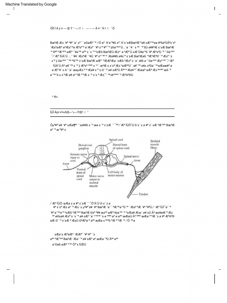 Webster medical instrumentation application design 4ed 164 166 pdf