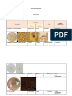 Guía de Parasitología