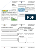 Guía Comprensión Lectora y Dictado