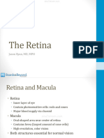 The Retina Atf
