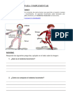 Sistema Oseo y Muscular